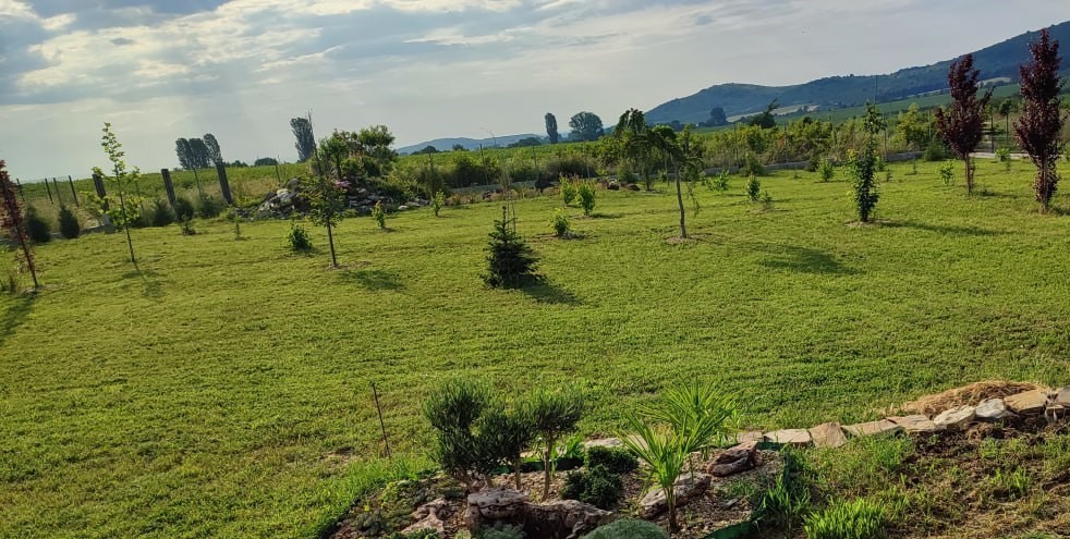 Косене на двор в село Кирилово, обл. Стара Загора